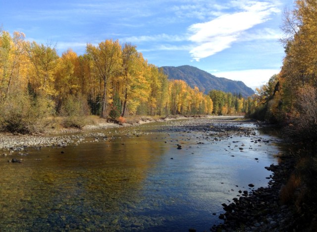 Methow River, looking downstream from beside the Stafford plaque. Photo by Mark Kummer.